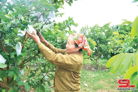 Chiêng Sơ mả pe cò kìn mák