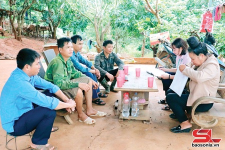 Yôngv hur si têx nênhs tâu choz kria uô hâux lưv hâur xã Chiềng Khoong ndê txos 60%