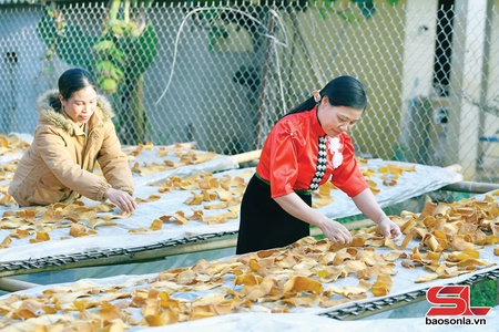 Tẳng tánh bón cạt kiên dệt dượn cánh khài nó hảư po hay me na