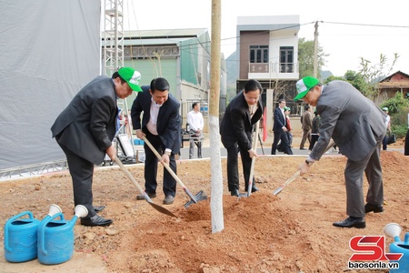 Tree planting festival for Year of the Horse launched in Son La