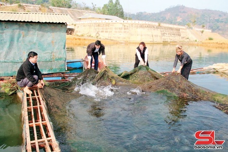 Xã Quỳnh Nhai thiaz Đoàn Kết huôv tsar zus tsiax đêx