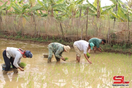 Sốp Cộp kho đêx chos blêx nzor