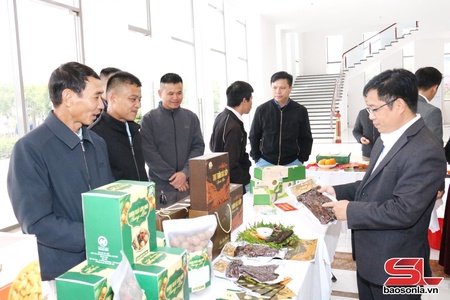 Son La has 210 OCOP products