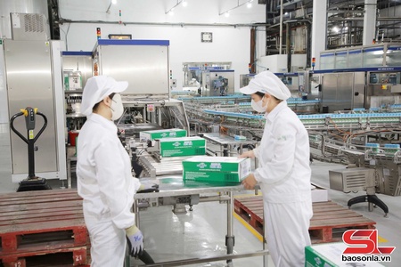 Uô hâux lưv lov jêv ntưk hâu shông yiaz ntơưv lax trôngz