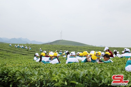 Tsik tsês huôv tsar, tu jông thiaz uô luôv kôngz txir nox 
