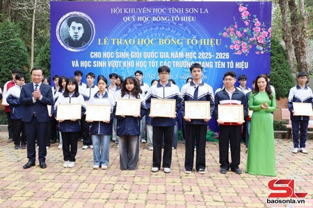 Puz nhiax Tô Hiệu trâu shuv xênhz coz têz qơưk thiaz shuv xênhz pluôs cơưv coz