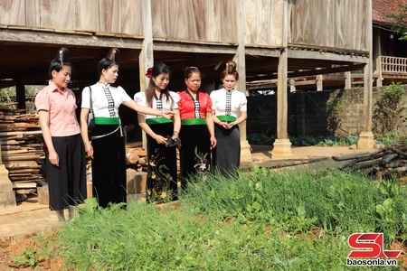 Son La women join hands to protect environment