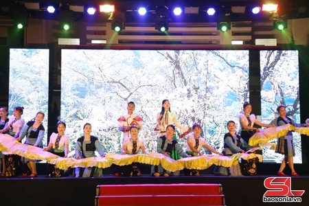 To Mua’s Ban Flower Festival awakens Thai traditions