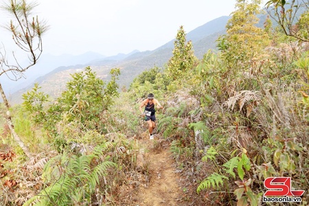 Ngọc Chiến phọn nương giải leo núi “Sơn tra Sky Race” 2026