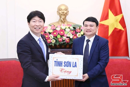 Son La official joins FM’s meeting with Governor of Japan’s Okayama prefecture