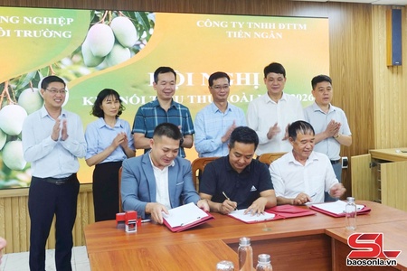 Sơn La cạt kiên khài mask muông Sơn La pì 2026