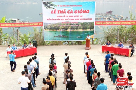 Mường Khiêng tso 45.000 tus nôngz njêk cov vav nzir