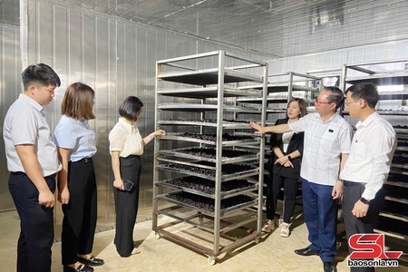 Nghiệm thu Đề án "Choi dừa sủ chương máy tiên tiến sáư vịa dệt dượn chế biến mák nuối pì 2026”