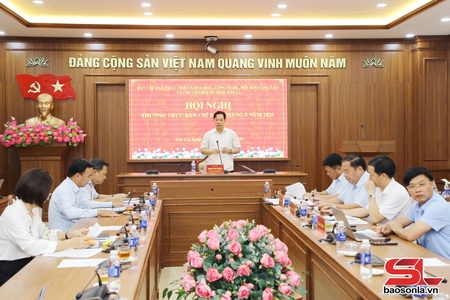 Son La promotes development of science, technology, innovation, and digital transformation