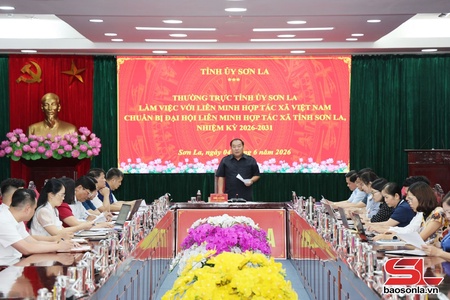 Thường trực Tỉnh uỷ đros Liên minh HTX Việt Nam uô hâux lưv