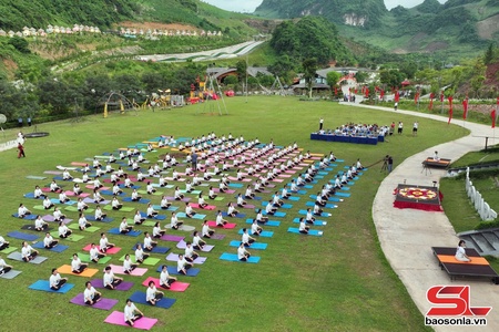 International Day of Yoga celebrated on Moc Chau plateau