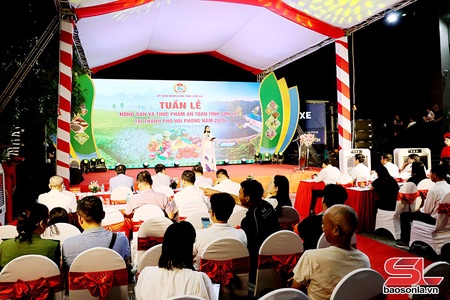 Kriz Têx hnuz muôs kôngz thiaz txir nox hur tỉnh Sơn La ntơưv Hải Phòng shông 2026