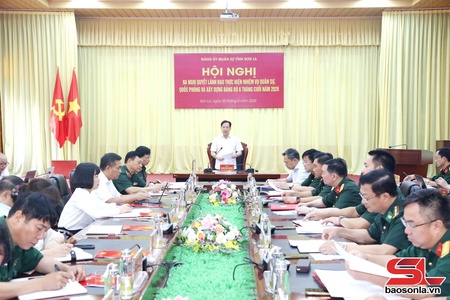 Provincial Military Command's Party Committee issues resolution on leadership work for H2