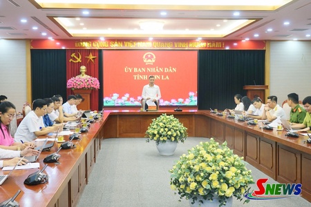 Cxiz uô sai cơ sở dữ liệu đêx ar hâur thax tsav thôngz tỉnh