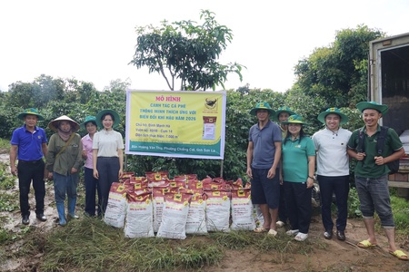 Son La farmers receive support in climate-resilient coffee cultivation