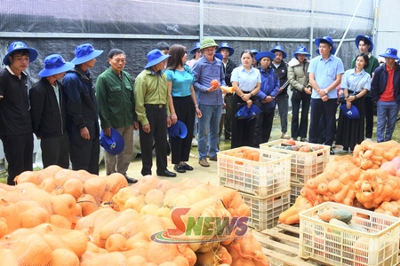 Chấp năm pưng luông bao nặm phảy dòm cạt kiên cắp lăm le đìn đòn cánh cò púk bồng