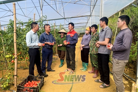 Farmers in Van Ho shift toward modern, sustainable agriculture