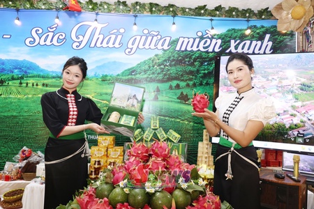 Uô luôv bê lax luôv hax huv gra thax tsav Sơn La luz bê
