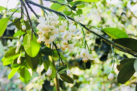 Lặng thầm tháng ba