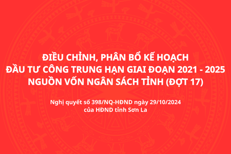 Nghị quyết số 398/NQ-HĐND của HĐND tỉnh Sơn La