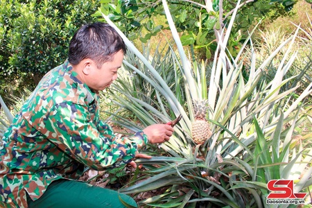 Tạ Bú khai thác tiềm năng phát triển kinh tế