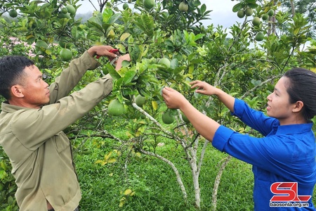 Đảng bộ xã Nậm Lạnh chú trọng phát triển đảng viên