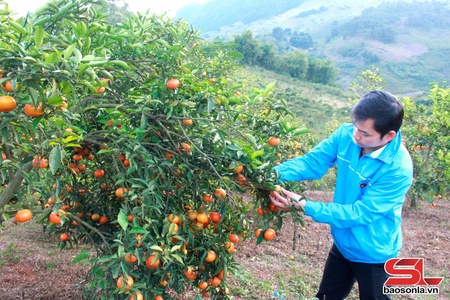 Tân Yên xây dựng các mô hình kinh tế
