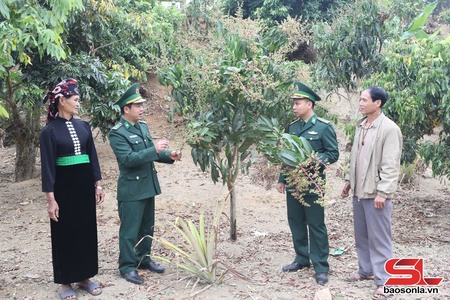 Sức sống mới Mường Cai
