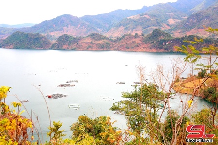 Tiếng gọi non sông