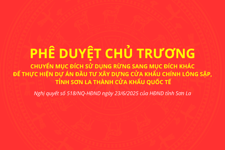 Chuyển mục đích sử dụng rừng để thực hiện Dự án đầu tư xây dựng cửa khẩu chính Lóng Sập thành cửa khẩu Quốc tế