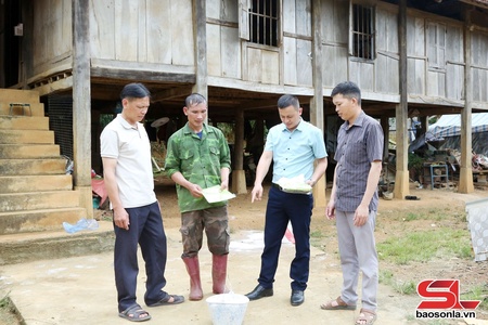 Chủ động phòng, chống dịch tả lợn châu Phi