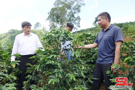 Hướng tới đô thị xanh, hiện đại, giàu bản sắc