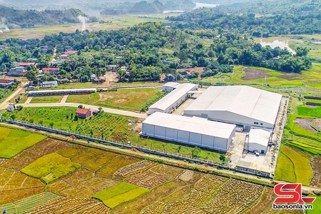 Đẩy nhanh tiến độ hoàn thiện hạ tầng cụm công nghiệp