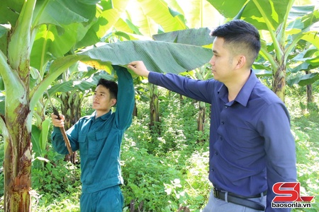 Tập trung khai thác tiềm năng, thế mạnh của địa phương