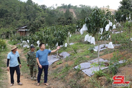 HTX tiêu biểu ở Sốp Cộp