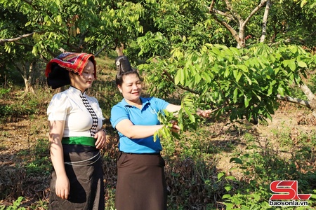 Điểm tựa vững chắc cho hội viên phát triển kinh tế