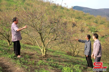 Người có uy tín tiên phong phát triển kinh tế