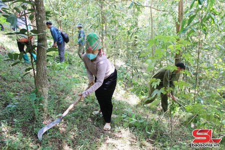 Giữ màu xanh những cánh rừng