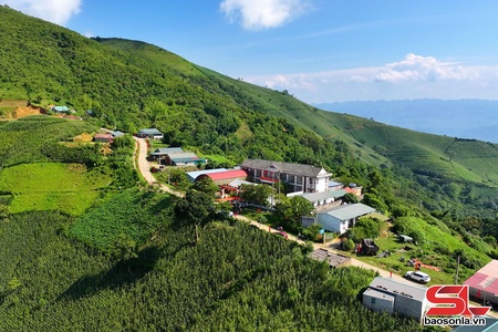 Tiếp tục rà soát và quản lý sử dụng tài sản công