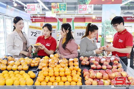 Thu hút đầu tư phát triển kết cấu hạ tầng thương mại