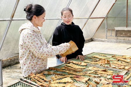 Phụ nữ Xuân Nha thi đua phát triển kinh tế