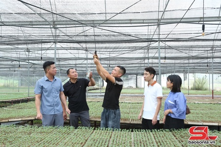 Phát triển đa dạng cây trồng vụ đông