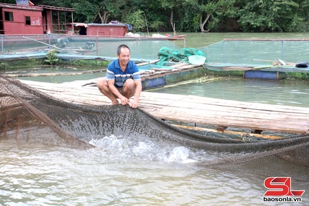 Tạ Khoa nỗ lực giảm nghèo bền vững