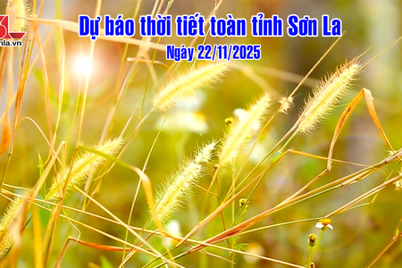 Dự báo thời tiết toàn tỉnh Sơn La ngày 22/11/2025