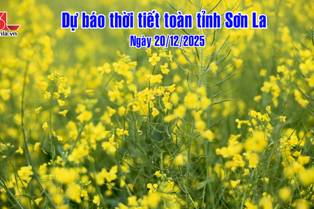 Dự báo thời tiết toàn tỉnh Sơn La đêm 19 và ngày 20/12/2025